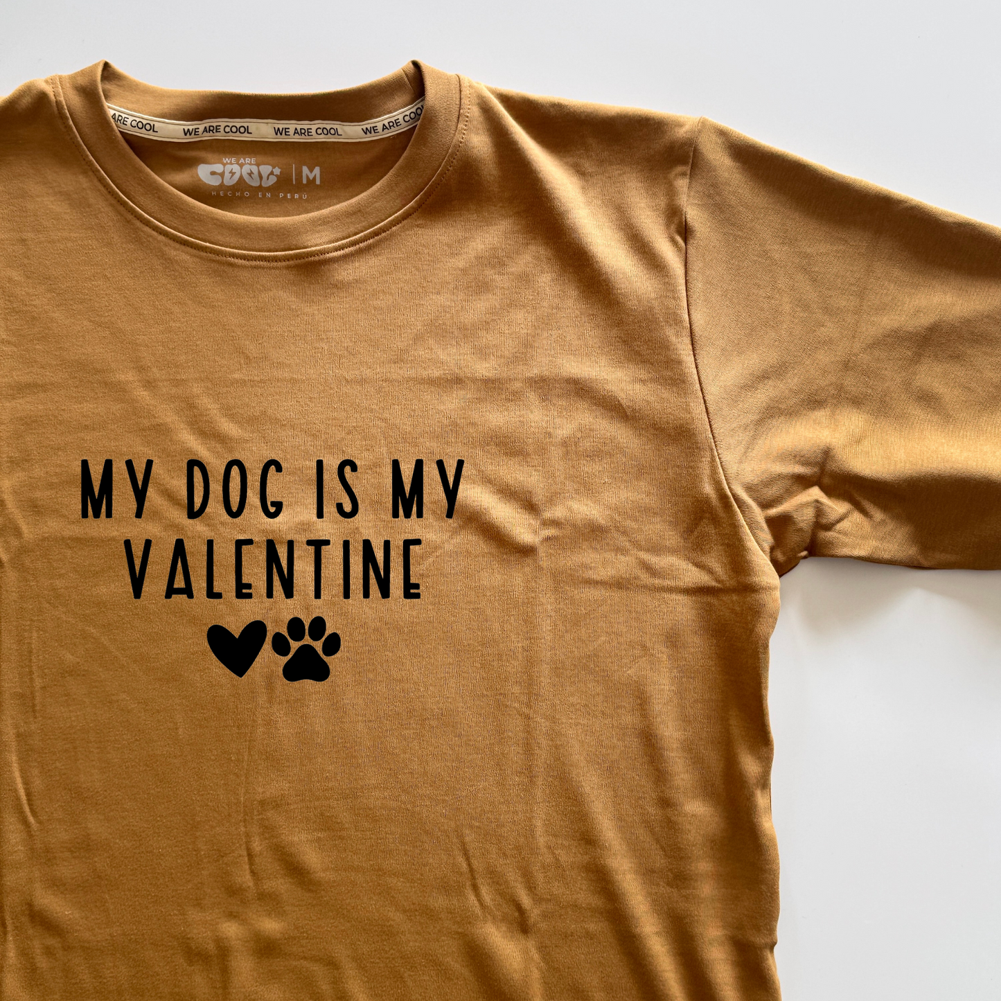 Polo My Dog is my Valentine